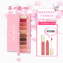 Alice House net red 10-color eye shadow tray ins super fire color waterproof non-take-off makeup matte pearlescent
