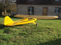 Gold wing GW version Piper CUB J3 50CC 9 new products