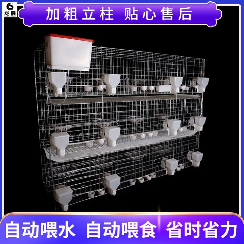 Large House Balcony Meat Dove Shed at Breeding Farm Cat Cage Partition Triple Dove Caged Cage Crypted Pigeon Cage DOVE CAGE BIRD CAGE