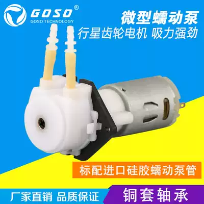 Deceleration pump Planetary gear reduction peristaltic pump slow flow micro BM silicone tube metering pump drip pump