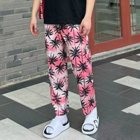 Кокосовая пальма