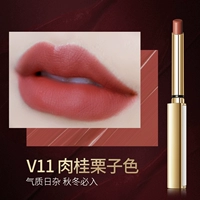 V11 Cinnamon Cheese Color [возьмите подарки отбора]