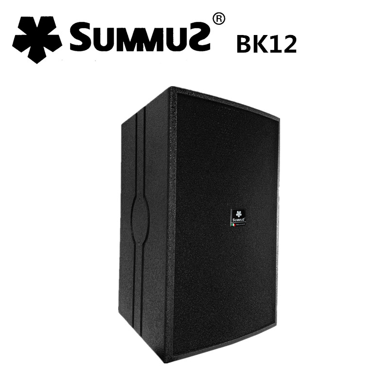 summuz Sams BK12 single 12KTV speaker professional audio private room HI room hall small conference speaker
