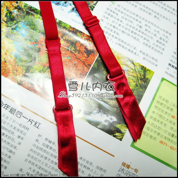 Canada nổi tiếng trong suốt lưới bướm phong lan thêu phụ nữ gợi cảm garter / mã XL màu đỏ - Nịt Tất đồ lót nam nữ