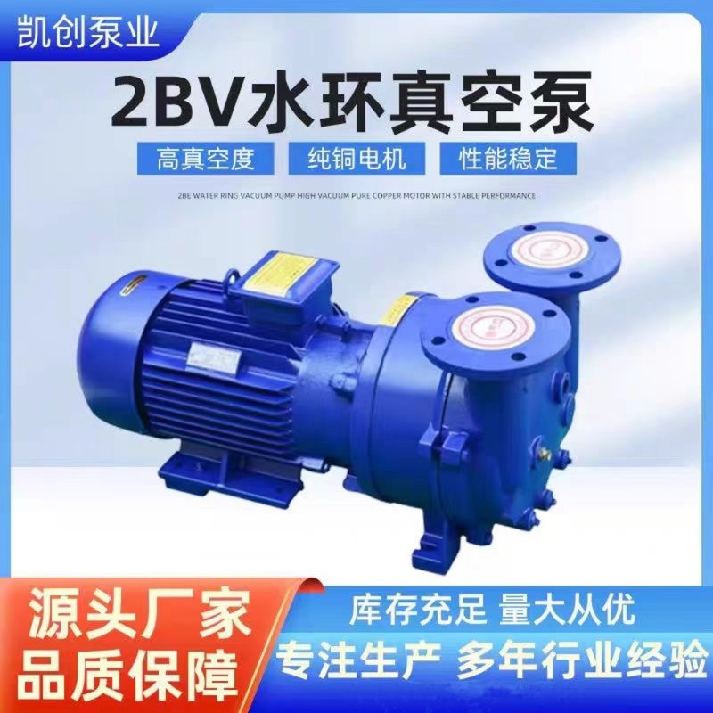 Zibo Boshan 2Bv Series Water Ring Vacuum Pump Industrial High-Vacuum Water Circulation Vacuum Pump Compressor