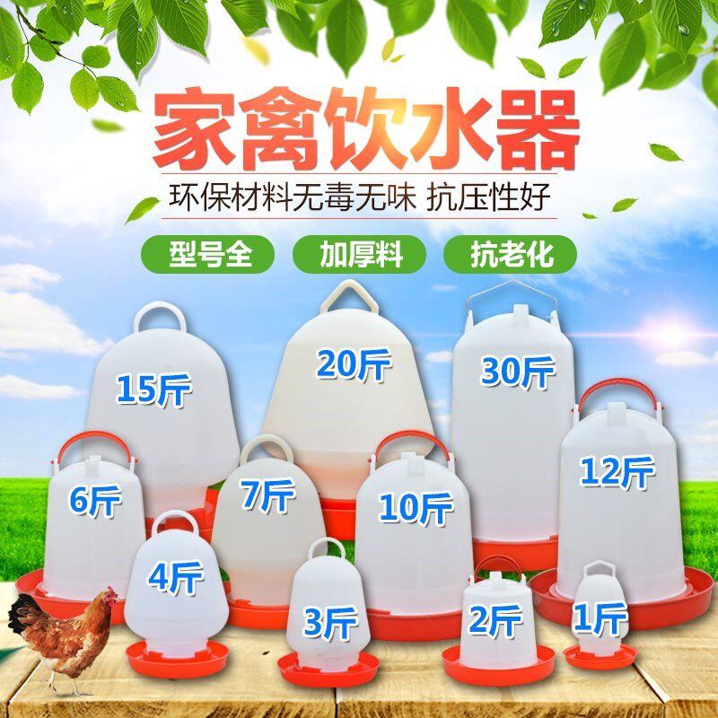 Home Large Number of livestock drinking water jug Chicken Duck Goose Drinking Water Dispenser Breeding Equipment Supplies Bucket Convenient water feeder