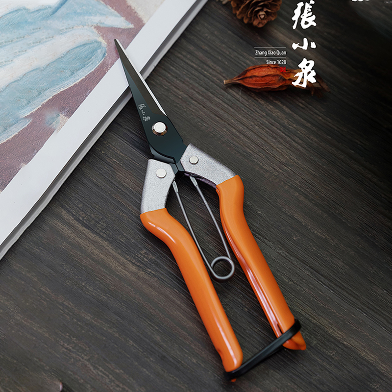 Zhang Koizumi Scissors Home Fruits And Vegetables Cut Garden Cut of Rare Fruits Cut fruit Cut trees Cut of fine branches Green prunes Pruning Fruit Shears
