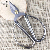 Zhang Xiaoquan pointed scissors Pointed small special cut gray toenail scissors Zhang Xiaoquan small adult home pedicure