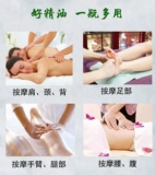 Экстракт с горькой полынью, косметический массажер для всего тела, масло, для салонов красоты