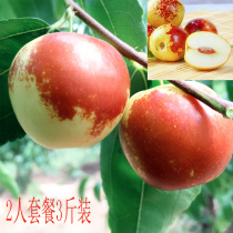 Sinceed fresh 3kg winter jujube crispy sweet pregnant woman fruit jujube Jujube green jujube
