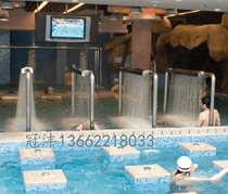 Swimming pool equipment Weichi bath 304 stainless steel SPA pool shower room accessories impactor SPA beat