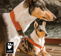 (Out of print) Hurtta leisure collar dog collar quick dry and breathable