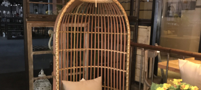 Bird Cage_23.jpg