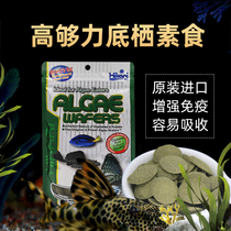 Japanese imported Hikari high enough squirrel fish benthic fish beard big fan scavenger vegetarian meat feed