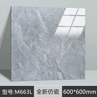 Совершенно новый фарфор M663L 【60x60 за штуку】