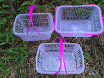 2 kg-6 kg strawberry basket bayberry basket loquat portable plastic fruit basket grape basket picking basket flat bottom