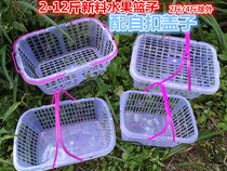 2 kg-12 kg strawberry basket bayberry basket white new material fruit basket picking basket loquat cherry mulberry