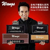 WangsVT sê-ri OD sê-ri HD full ống đầu đàn guitar điện tách âm thanh người mới bắt đầu - Loa loa loa lg