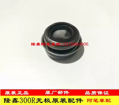 Longxin accessories LX300-6A Wuxi 300R YF300 water cooling engine 300RR original water seal oil seal