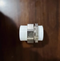 20ppr (4 очка) двойной железо живет