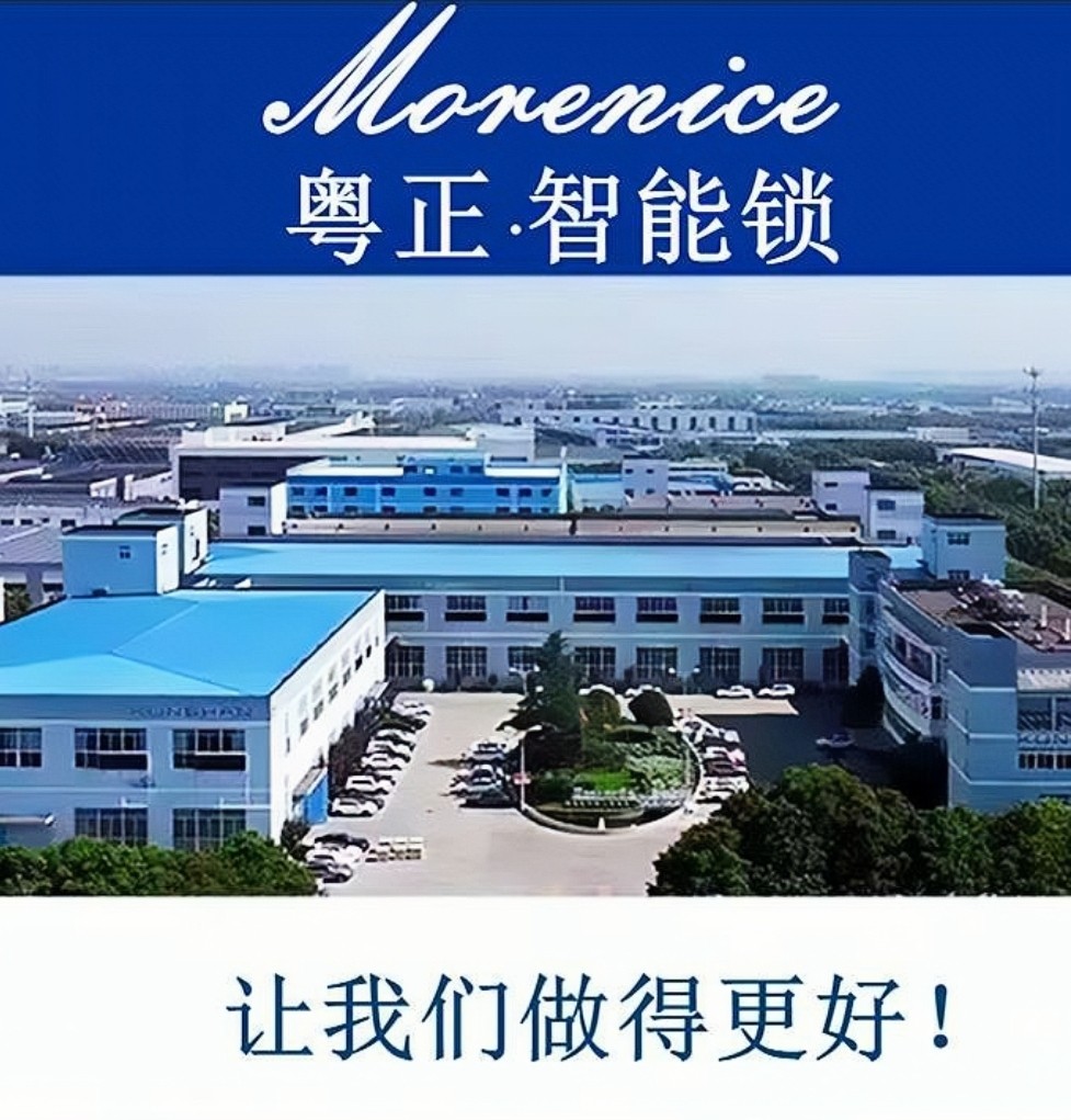 Morenice摩奈斯智能锁官方企业店