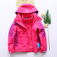 Роза красная