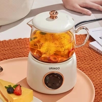 Xiaomi has a Pinuringo Wellness Kettle Miniminis office Cup One person muted high face value with a tea cook