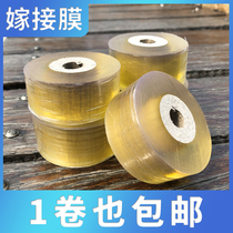 Self-adhesive grafting film special winding film for garden fruit trees PE grafting tape