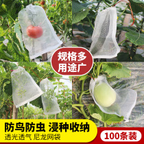 Grape dragon fruit insect-proof bird nylon mesh bag soaking seed breeding bag fruit gauze bag bag storage bag