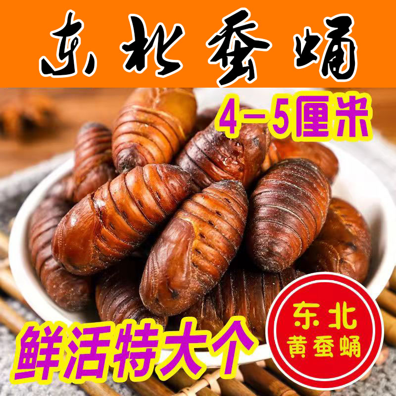 Northeast Teratal wild tussah pupa pupa pupate 2021 large cocoon chrysalis 500g fresh and large silkworm chrysalis 2 catties