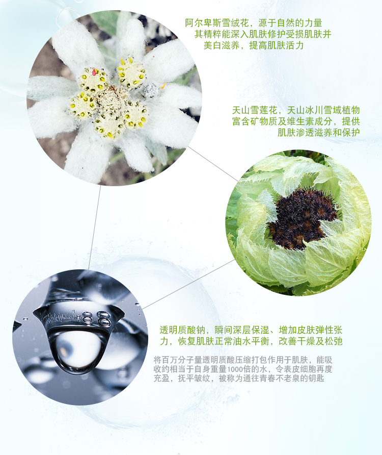 Han Shuxue Trắng Cơ Bắp Làm Trắng Chất Chính Hãng Giữ Ẩm Facial Pore Tinh Chế Chất Làm Sáng Da Tone serum vàng 24k