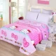 Mùa đông đơn giản san hô lông cừu tấm đơn mảnh cộng với nhung dày flannel đệm đơn pad duy nhất đôi chăn sang trọng mẫu ga phủ giường