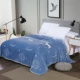 Mùa đông đơn giản san hô lông cừu tấm đơn mảnh cộng với nhung dày flannel đệm đơn pad duy nhất đôi chăn sang trọng mẫu ga phủ giường