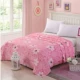 Flannel chăn giường san hô lông cừu mùa đông mỏng sinh viên độc thân ký túc xá hai mặt cộng với nhung ấm đôi