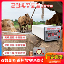 Intelligent pulse electronic fence animal husbandry cattle and sheep ranch grid fence host full set of system insulator