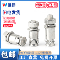 M6M8mm 304 stainless steel percussion back bolt screw expansion seismic back bolt marble curtain wall accessories bolts
