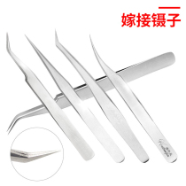 High precision grafting eyelash tweezers Grafting tools Eyelash tweezers Dolphin clip tweezers Flowering tweezers