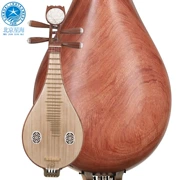 Nhạc cụ Quốc gia Xinghai 8413 Nhạc cụ Mahogany Liuqin