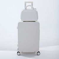 Лунный белый семенный мешок