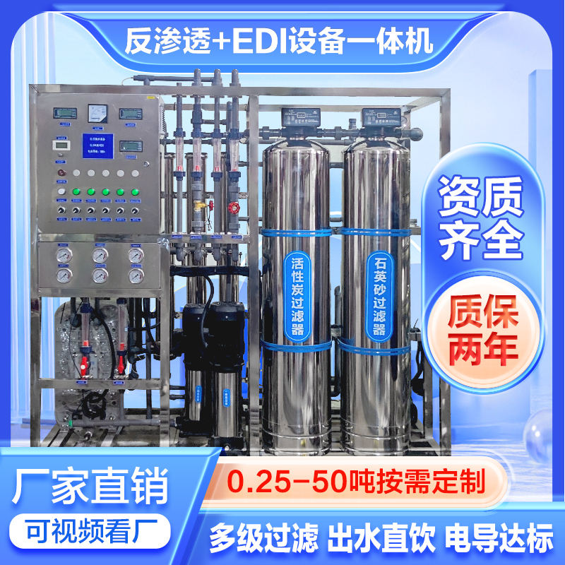 Fully Automatic Reverse Osmosis Water Treatment Equipment, Dual-Stage Purified Water Edi Ultra-Pure Water Machine, Large Industrial Pure Water Machine 1