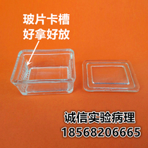 10 pieces horizontal glass dyeing cylinder Dyeing cylinder Glass dyeing cylinder Slice dyeing cylinder Specimen cylinder