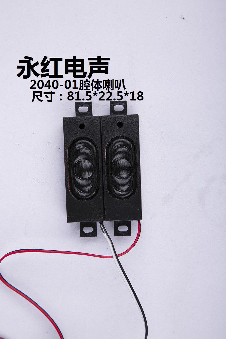 2040-01Cavity speaker for TV advertising machine All display smart appliances square full frequency
