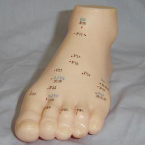 足针灸模型13cm