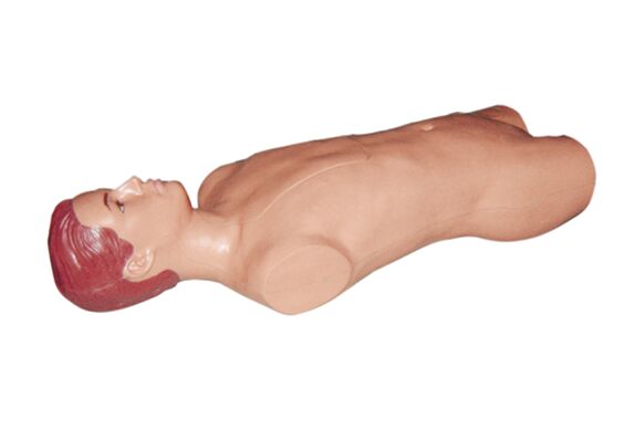 腹腔与骨髓穿刺模型