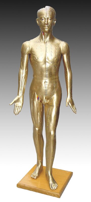 针灸铜人模型 成人一比一比例人体针灸模型178CM(青铜色）