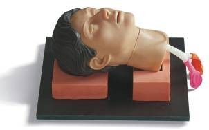 ★直销正品★环甲膜穿刺和切开训练仿真模型 包邮