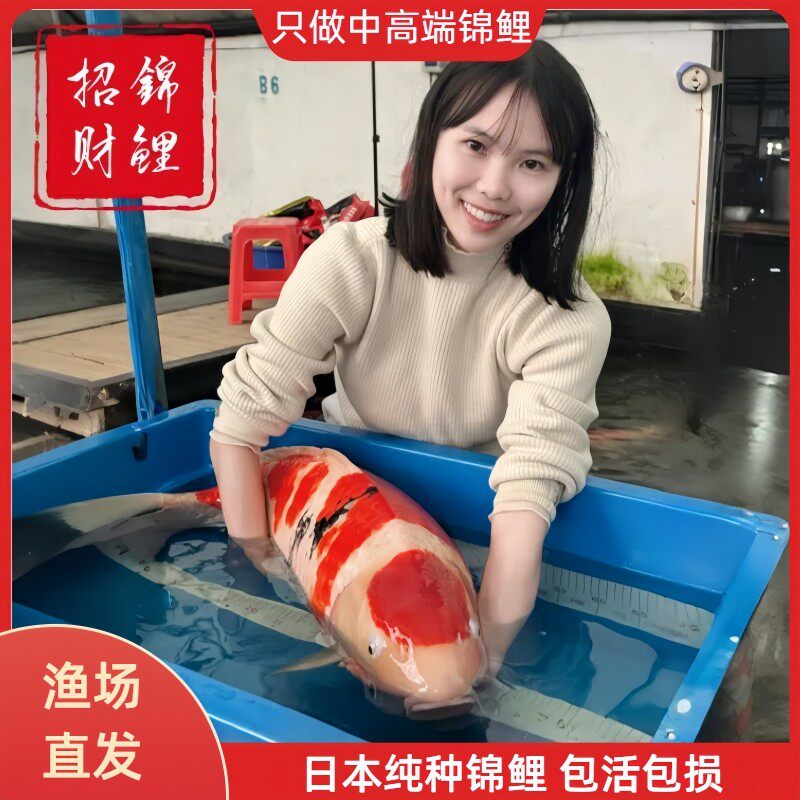 花旺鱼锦鲤之家企业店铺的LOGO