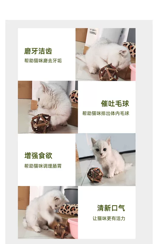 Catnip Ball Đồ chơi mèo Hi Hi Cat Đồ chơi Catnip Lollipop - Mèo / Chó Đồ chơi