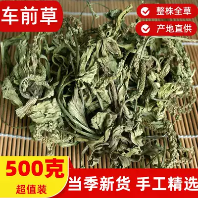 Wild plantain 500g grams of Chinese herbal medicine fresh whole plantain tea wheel grass dry cow ear grass