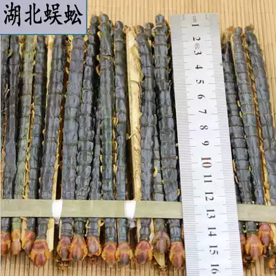 Chinese herbal medicine centipede Hubei red head dried centipede 10 whole 15 cm large centipede soaked in wine sold separately Tianlong dried